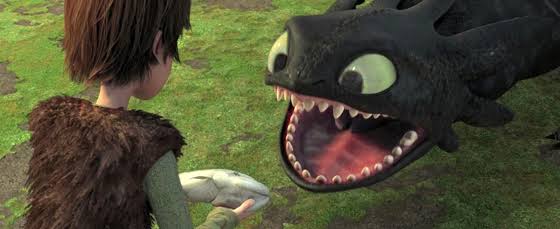 Hiccup and Dragon toothless 
